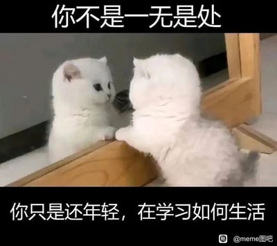 暂无描述