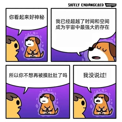 这是一幅四格连环漫画，主角为两只卡通狗狗。第一格中，黄色狗狗对紫色背景中双手合十、闭眼静坐的棕色狗狗说“你看起来好神秘”；第二格棕色狗狗睁眼，霸气宣称“我已经超越了时间和空间成为宇宙中最强大的存在”；第三格黄色狗狗疑惑提问“所以你不想再被摸肚肚了吗”；第四格棕色狗狗瞬间激动睁眼反驳“我没说过！”。漫画通过棕色狗狗从故作高深到暴露真实需求（渴望被摸肚肚）的反差，营造出幽默搞笑的效果。