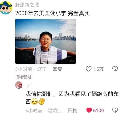 这是一张社交媒体平台的动态截图，用户“野原新之澈”以蜡笔小新为头像，发布了自己2000年在美国读小学时的童年旧照，配文“2000年去美国读小学 完全真实”，动态发布地点显示为辽宁，收获了1.5万点赞。照片中的男孩戴着眼镜，穿着白紫相间的条纹短袖，双臂搭在栏杆上，背景是美国城市的水域与高楼建筑群。下方来自黑龙江的用户“LT.'”评论称“我信你哥们，因为我看见了俩绝版的东西”，并附带眨眼和作揖的表情，这条评论获得了5100个赞，还得到了楼主的点赞。这里的“绝版东西”是趣味玩梗，暗指男孩的眼镜和他本人的童年模样，是网友间的轻松互动。