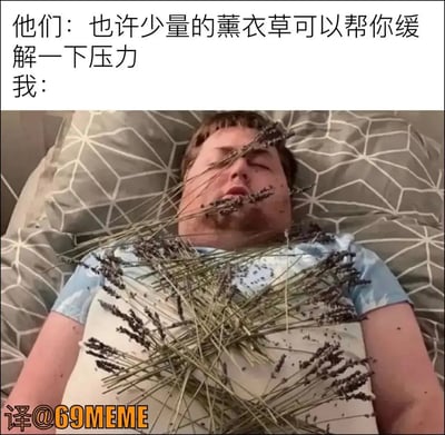 这张图用幽默和夸张的方式演绎了网络健康建议“薰衣草有助于缓解压力”。图片中，一句“也许少量的薰衣草可以帮助你缓解一下压力”，配上“我：”的梗图格式，下方则是一个人把大量薰衣草堆在身上，形成对建议极端误解的搞笑反差。

图片暗含网络常见的“极端执行建议”的反讽梗。