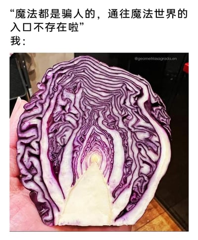 这是一张充满趣味脑洞的图文结合梗图，上方文字先提出“魔法都是骗人的，通往魔法世界的入口不存在啦”的观点，随后用“我：”引出下方的紫甘蓝截面照片。被切开的紫甘蓝内部的纹理层层递进，形成了类似神秘隧道、魔法入口的视觉效果，完美反驳了前面的说法，利用日常食材的天然奇妙结构，制造出充满奇幻感的搞笑效果，给普通的食材赋予了浪漫的想象空间。