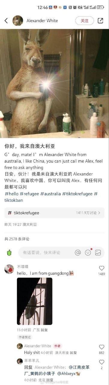 图片展示了一个TikTok社交媒体截图，主要内容是一只拟人化的袋鼠站在浴室镜子前，手持手电筒模拟自拍场景。袋鼠穿着类似人类的姿势，背景中有各种洗漱用品。图片上方有用户名"Alexander White"，下方配有中英文自我介绍文本："你好，我来自澳大利亚 G' day, mate! I'm Alexander White from australia, I like China, you can just call me Alex, feel free to ask anything"，表达了对中国的喜爱并邀请网友提问。帖子带有#tiktokrefugee #australia等标签，显示有141.9万讨论和2578条评论。评论区可见一条来自"不请喝"的留言："hello, I am from guangdong"。整体内容通过袋鼠拟人化进行幽默的自我介绍，营造轻松有趣的氛围。