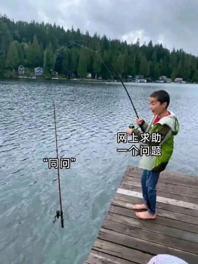 图片呈现了湖边木栈道上的场景：一个小男孩赤脚站在栈道上，手中的鱼竿弯起，他面露惊讶神情，正专注于手中的鱼竿；在他身旁的水面上还立着另一根鱼竿。图中配有文字，小男孩对应的文字是“网上求助一个问题”，旁边鱼竿对应的文字是“‘同问’”。这张图用钓鱼的场景做比喻，生动调侃了在网络上提问时，很多网友有着相同疑问、纷纷附和“同问”的情况，用画面化的方式表现出大家有共同问题的状态，充满趣味性。