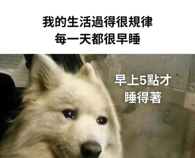 这是一张用于自嘲的网络表情包，图片上方配文“我的生活过得很规律 每一天都很早睡”，右侧配文“早上5點才睡得著”，通过反讽的手法调侃自己作息完全颠倒的熬夜状态。图中的狗狗眼神疲惫、神态憔悴，精神状态不佳，完美契合了长期熬夜后萎靡的状态，能够引发当代有熬夜、失眠困扰的年轻人的强烈共鸣，常被用于社交平台分享自己的颠倒作息日常。