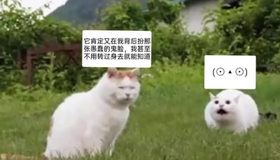 这是一张经过网友二次创作的搞笑动物梗图，画面背景是户外的草地与绿植，共有两只白色猫咪：左边的猫咪头顶带有橘色毛发，闭着眼睛坐在草地上，表情满是嫌弃与无奈，配文模拟它的内心想法，表现出它对背后同伴的行为早已心知肚明；右边的猫咪则趴在草地上，睁圆眼睛、大张嘴巴，摆出极其夸张的搞怪表情，旁边还搭配了一个和它表情高度契合的颜文字(⊙△⊙)。整张图通过拟人化的文字和猫咪的表情反差，生动模拟了生活中常见的“背后搞怪被看穿”的趣味场景，充满诙谐幽默的氛围，很适合用来调侃朋友间的互动或者分享日常趣事。