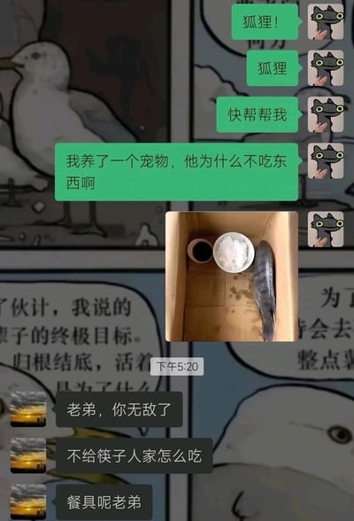 这是一张微信聊天记录截图，绿色气泡的求助者连续呼叫对方“狐狸”寻求帮助，表示自己养的宠物不吃东西，同时发送了一张照片：照片里的纸箱内放着一条死鱼，旁边还搭配了一碗米饭和一杯深色液体。深色气泡的“狐狸”则用调侃的语气回复，称“老弟，你无敌了”“不给筷子人家怎么吃”“餐具呢老弟”，以拟人化的方式调侃求助者给死鱼准备人类餐食的离谱行为，制造出荒诞搞笑的效果。