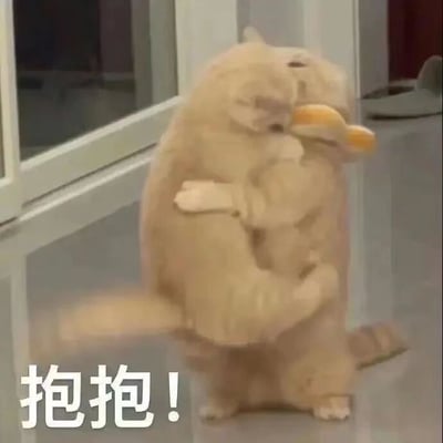 两只橘猫后腿站立，前爪相互环抱，其中一只嘴里还叼着疑似面包的食物，画面十分温馨可爱。图片左下角配有文字"抱抱!"，强化了拥抱的主题。