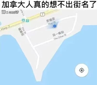 这是一张地图工具软件的截图，属于文字加注图，图的上方配有标题“加拿大人真的想不出街名了”，地图里显示了临近Hwy-7公路的一片临水区域的三条街道，它们的名称非常直白口语化，分别是“這條街（This St）”“那條街（That St）”“另一條街（The Other St）”，中文和英文名称完全对应，用最简单的指代性称呼作为街名，显得十分敷衍，和标题的调侃形成呼应，制造出搞笑的效果，让观众觉得当地在命名街道时十分随意。左上角还有翻译标注“譯：zass17”。