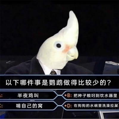 这是一张宠物主题的趣味梗图，画面主体是戴着玄凤鹦鹉头套、身着西装领带的人物，模仿电视答题类节目的界面样式，提出问题“以下哪件事是鹦鹉做得比较少的？”，并给出四个选项：A.半夜鸡叫、B.把种子粮叼到饮水器里、C.啃自己的窝、D.在狗狗的水碗里洗澡拉屎。结合鹦鹉的真实习性，选项B、C、D都是鹦鹉常见的调皮捣蛋行为，而“半夜鸡叫”是公鸡的典型行为，鹦鹉极少会做这件事，因此正确答案为A选项，图中用这种反差感制造趣味，调侃鹦鹉的日常调皮举动。