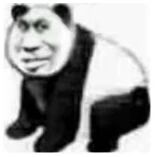 图片中是一只卡通熊猫，身体为黑白相间的典型熊猫毛色，但脸部被替换成了人类的面孔，表情显得滑稽又怪异，整体呈现蹲坐姿势。该图像通常作为搞笑表情包在社交媒体传播，用于表达调侃或幽默的情绪。