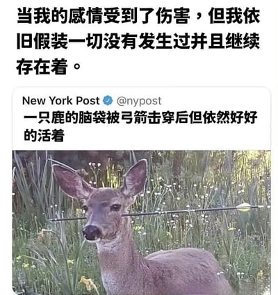 这张梗图通过动物新闻照片与文字结合，创造出幽默的比喻效果。图片上方是黑色文字："当我的感情受到了伤害，但我依旧假装一切没有发生过并且继续存在着。"中间部分是New York Post的推特截图，内容为"一只鹿的脑袋被弓箭击穿后但依然好好的活着"。最下方是一张鹿的照片，其头部被一支箭完全贯穿，但鹿看起来状态平静，仍然站立在草地上。这种将动物的生理创伤与人类的情感创伤进行类比，形成了黑色幽默的效果，表达了人们在情感受伤后强装无事的状态。