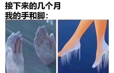 这是一张左右对比的多图拼接梗图，上方配有文字“接下来的几个月我的手和脚：”，左侧展示了一双被冻得僵硬、表面覆盖白霜的手，呈现出蜷缩僵硬的状态；右侧是一双脚踝处长出大量冰锥的卡通腿，用极度夸张的视觉化方式，调侃秋冬季节气温下降时，人们手脚冰凉、仿佛被冻僵的真实状态，精准戳中了很多人在寒冷天气里的体感体验，带有搞笑和无奈的情绪，没有双关或谐音梗。