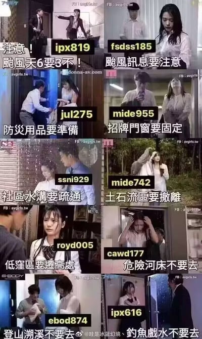 这是一张包含12个小图的拼贴图片，每个小图上方都有一个类似编号的代码（如ipx819、fsdss185等），下方配有关于台风天安全防范的中文提示文字。内容涵盖了台风期间需要注意的各种事项，如准备防灾用品、固定招牌门窗、疏通社区水沟、撤离土石流区、低洼区迁高处、不去危险河床、不登山溯溪、不钓鱼戏水等安全提示。图片整体采用多图拼接的方式呈现，图文结合。