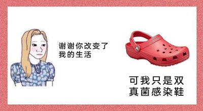 这是一张静态图文混排的网络梗图，画面左侧是一位脸颊泛红、表情带着微妙无奈感的卡通女性，右侧是一双经典款的红色Crocs洞洞鞋。图中通过对话形式制造反差幽默：卡通女性向洞洞鞋表达“谢谢你改变了我的生活”，以夸张的感激态度铺垫，而洞洞鞋则以自嘲的语气回应“可我只是双真菌感染鞋”，这里运用了谐音梗，洞洞鞋的英文“Crocs”与“真菌感染”发音相近，结合洞洞鞋因鞋型和材质特点，常被调侃容易引发脚部问题的特点，用这种反差对话形成趣味笑点，属于网络上流行的自嘲类幽默内容。