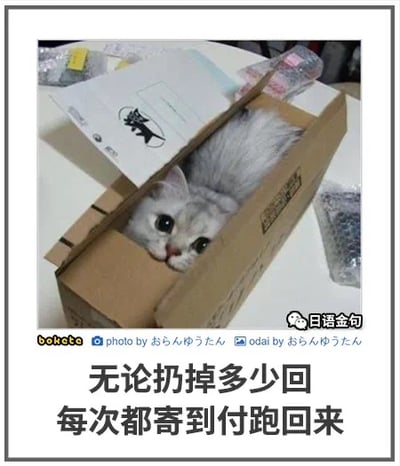 这张图展示了一只可爱的猫咪钻在快递纸箱里，只露出圆圆的脑袋，眼神无辜又软萌。下面配文是“无论扔掉多少回，每次都寄到付跑回来”，用搞笑的方式形容了猫咪对纸盒子的执着，同时也暗指某些人或事总是一再回来（有点像回头草梗），贴合社交网络流行的幽默表达。配图和文字形成了温馨又略带调侃的氛围。
- 双关/暗示：文字结合了快递‘到付’和猫咪回箱子的梗，有轻微的双关和谐音幽默。