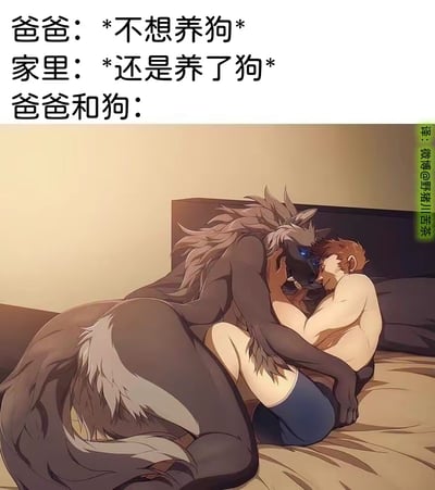 这是一张充满反差感的搞笑梗图，上方通过三段式文字构建剧情：先是爸爸表示“*不想养狗*”，接着家里还是决定养了狗，最后引出“爸爸和狗：”的内容。下方配图是一个肌肉男性（代表爸爸）与拟人化的狼型兽人（被调侃成家里养的“狗”）亲密相拥躺在床上，姿态十分亲昵。图中用夸张的拟人化手法，将“爸爸从抗拒养狗到彻底接纳甚至无比亲密”的“真香”心态放大，把人和宠物的互动夸张成类似恋人的依偎，制造出强烈的反差搞笑效果，同时也带有兽人文化的创作风格。