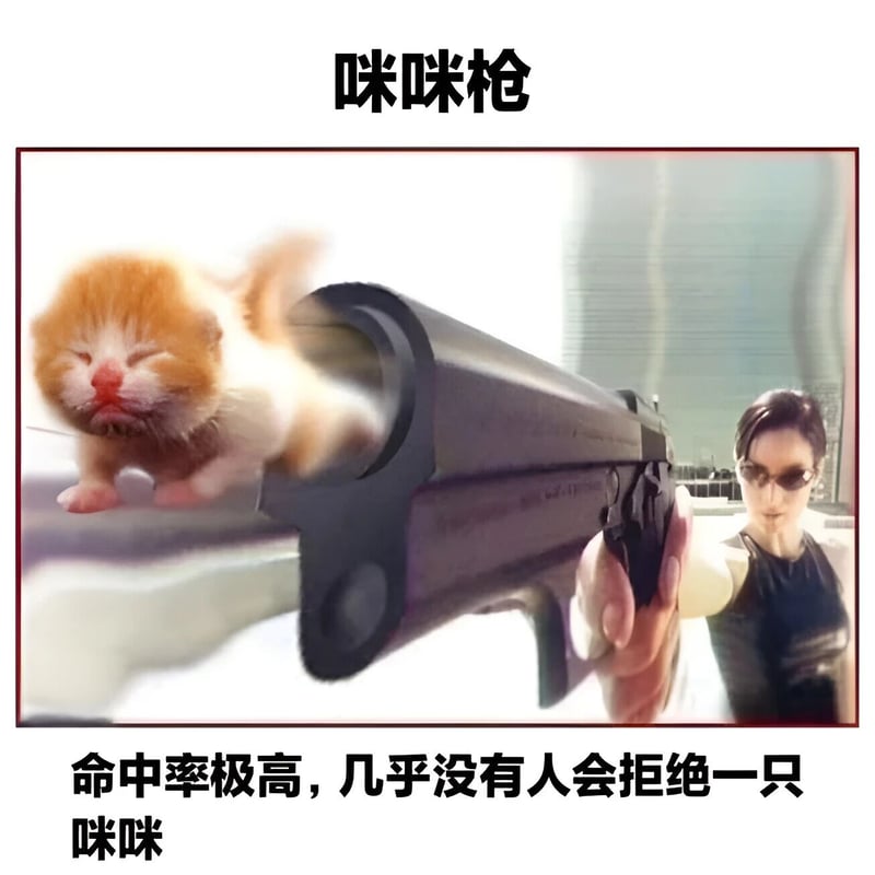 小奶猫