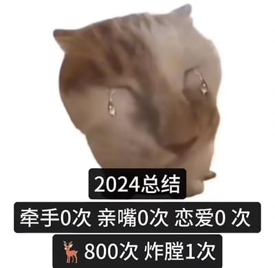 这是一张以流泪猫咪表情包为主体的2024年度总结梗图，猫咪双眼挂着大滴眼泪，满脸悲伤。下方配文用扎心的对比总结了一年的经历：恋爱相关的牵手、亲嘴、恋爱次数全为0，却有“🦌800次 炸膛1次”的经历，其中“🦌”谐音“撸”，大概率指重复进行某类行为（比如打游戏），“炸膛”指事情搞砸翻车，用夸张自嘲的方式调侃自己2024年单身且在其他事上也有翻车经历，充满搞笑又无奈的氛围。