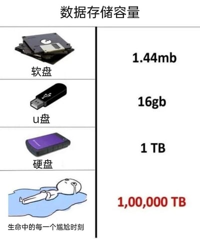 这是一张左右对比式的图文混排静态图，整体以“数据存储容量”为主题，左侧从上到下依次展示了软盘、U盘、硬盘三种不同时代的存储设备实物图，右侧对应标注了它们的典型存储容量，分别为1.44mb、16gb、1TB。最后一行左侧是一个躺在蓝色水渍状区域里的卡通人物，配文“生命中的每一个尴尬时刻”，右侧标注了夸张的100000TB容量，用存储容量的对比来幽默调侃人们对于自身经历的尴尬时刻记忆极其深刻，仿佛有一个超大容量的存储设备将这些时刻全部留存下来，引发大众共鸣，是一个贴合日常心理的搞笑梗图。