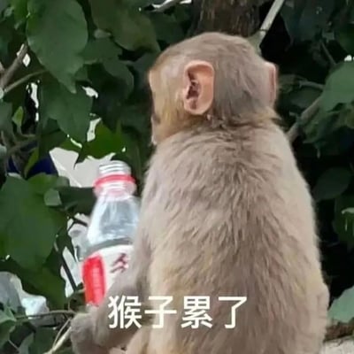 图片展示了一只浅棕色毛发的小猴子背影，它坐在茂密的绿色树叶间，手中握着一个带有红色瓶盖的透明塑料水瓶。猴子的耳朵竖起，身体微微前倾，仿佛在休息。图片底部有白色文字“猴子累了”，将猴子的姿态拟人化，营造出一种如同人类疲惫时的慵懒感，整体氛围轻松诙谐，容易引发观者共鸣。