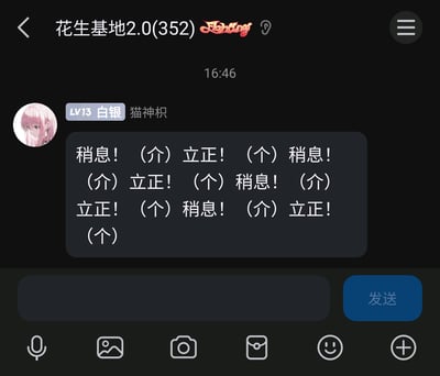 这是一张即时通讯软件群聊（群名“花生基地2.0(352)”）的静态截图，界面显示时间为16:46，等级为LV13白银的群成员“猫神枳”（头像是粉色长发的动漫女性角色）发送了一段模仿军训口令的重复内容，文本为“稍息！（介）立正！（个）稍息！（介）立正！（个）稍息！（介）立正！（个）稍息！（介）立正！（个）稍息！（介）立正！（个）”，其中括号内的“介”“个”应为谐音“集体”“单个”，模拟集体与单个指令的切换，属于群内的趣味整活互动内容。