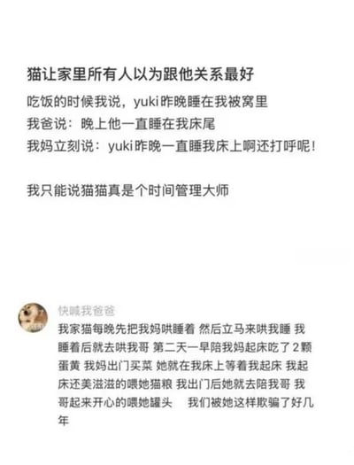 这张图是社交平台的文字分享截图，整体分为两部分：上方是一名网友的分享，称自家名叫yuki的猫让全家人都以为它和自己的关系最好，吃饭时三人交流才发现，大家都认为yuki前一晚只睡在自己的床上，博主调侃这只猫是“时间管理大师”；下方是另一名网友的评论，补充说自己家的猫多年来一直轮流安抚家里的不同成员，晚上分别陪不同的人睡觉，早上也依次陪不同的家人索要食物，全家人都以为自己是猫最亲近的对象，内容诙谐幽默，生动展现了猫咪擅长讨所有人欢心的特点，趣味性十足。