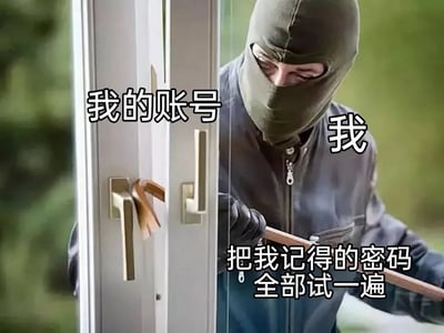 这是一张搞笑表情包，借用小偷撬门尝试开锁的场景进行拟人化比喻：将戴头套撬门的小偷标注为“我”，被锁住的门对应“我的账号”，配文为“把我记得的密码全部试一遍”，生动还原了人们忘记账号登录密码后，把自己能想到、记得的所有密码挨个尝试一遍才能登录的日常场景，内容十分有共鸣感，幽默地表现了忘密码的无奈经历。