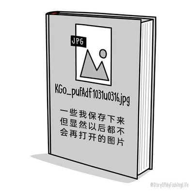 这是一张卡通风格的图文梗图，将人们保存后就再也不会打开的图片具象成一本封面带有图片文件图标、乱码文件名的书籍，精准戳中大众保存资料后遗忘、不再查看的日常行为，引发强烈共鸣。图中无谐音梗、双关或暗示内容。