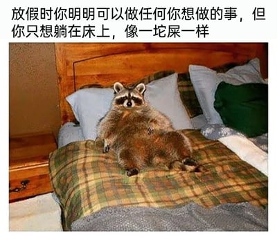 这是一张趣味梗图，画面主体是一只体态肥胖的浣熊，它以非常放松的人类化姿势瘫靠在床上，背靠枕头，四肢随意地搭在身体和床上，眼神呆滞，神态慵懒。图片上方配有中文文字：“放假时你明明可以做任何你想做的事，但你只想躺在床上，像一坨屎一样”，用夸张又接地气的语言，精准吐槽了当代人在放假期间，明明有机会安排各类活动，却只想躺平摆烂、不愿动弹的真实状态，戳中很多人的生活共鸣，风格搞笑又写实。
