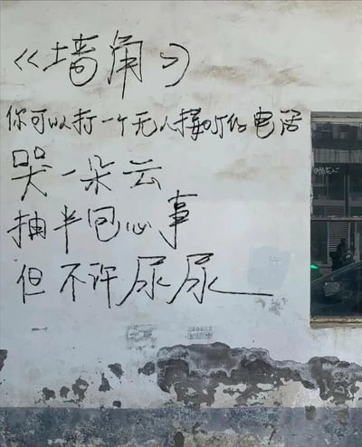 图片展示一面风化的白色墙面，上面有黑色手写中文文字。内容为《墙角》：“你可以打一个无人接听的电话 哭一朵云 抽半包心事 但不许尿尿”。墙面底部有部分墙皮剥落，右侧有一扇窗户，玻璃反射出室外模糊景象。文字前半部分充满文艺感伤的情绪，结尾“但不许尿尿”突然转折，形成幽默反差。
