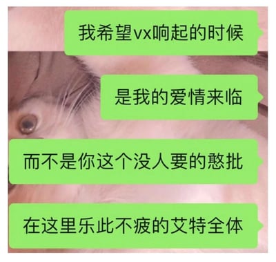 图片为一张猫咪面部特写，猫咪眼神略带无奈，背景模糊。图中叠加四个绿色文字气泡，内容依次为：“我希望vx响起的时候”“是我的爱情来临”“而不是你这个没人要的憨批”“在这里乐此不疲的艾特全体”。整体通过猫咪的表情和幽默文字，吐槽了社交中被频繁艾特全体的无奈，表达了对浪漫互动的期待，风格轻松诙谐。