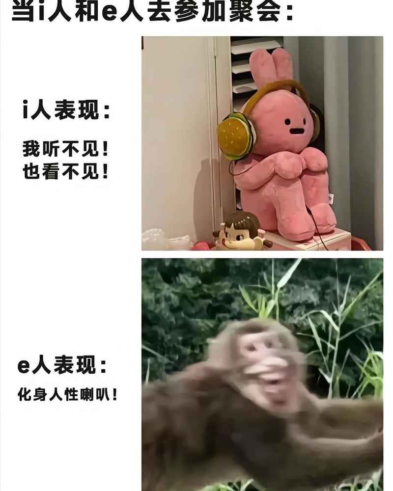 未知玩偶