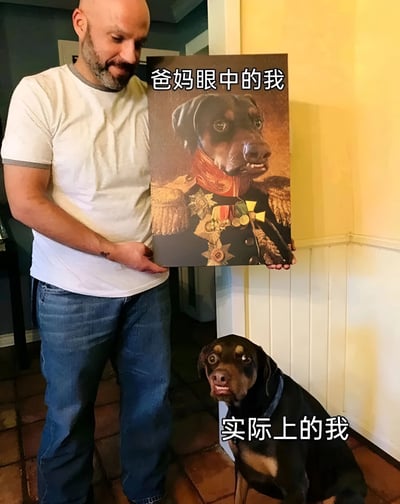 这张梗图展示了一个有趣的反差对比：一名男子手持一幅穿着军装、佩戴勋章的狗狗肖像画，旁边配文‘爸妈眼中的我’；肖像下方是一只真实的狗狗，配文‘实际上的我’。通过这种对比，幽默地表现了父母对子女的期望与子女现实状况之间的差距，以狗狗的形象增加了趣味性和亲切感。