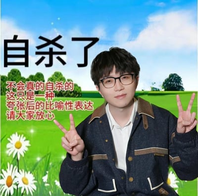 这是一张网友制作的幽默自嘲梗图，画面主体是歌手毛不易的人像，被合成在蓝天白云、绿色草地搭配雏菊的清新户外背景中。图中上方用醒目的大号黑色字体标注“自杀了”，下方则用红色小字补充说明：“不会真的自杀的 这只是一种夸张后的比喻性表达 请大家放心”。毛不易面带温和的微笑，双手比出V字手势，神态轻松，与上方看似沉重的文字形成强烈反差，用夸张的自嘲方式，来调侃生活中遭遇压力、疲惫、崩溃的时刻，以幽默的形式消解负面情绪，是网络上常见的情绪表达类梗图。