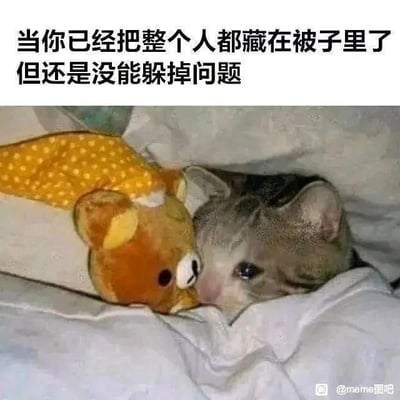 这是一张文字加注的静态单图，画面核心是一只灰色猫咪把自己紧紧缩在被子里，只露出半张脸，眼神委屈又无奈，旁边挨着一个轻松小熊的毛绒玩具。图上方配有文案“当你已经把整个人都藏在被子里了但还是没能躲掉问题”，用猫咪想躲起来的状态，精准比喻了人们在面对不想解决的问题时，试图逃避却避无可避的无奈处境，完美贴合当代年轻人遇到烦心事想“缩起来”逃避却逃不掉的情绪，没有双关、谐音梗或暗示内容，是非常能引发情绪共鸣的日常类梗图。