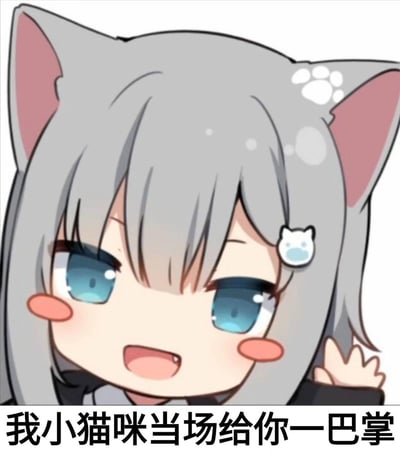 一张卡通风格的猫耳娘表情包，角色有着灰色的长发、猫耳和蓝色的眼睛，脸颊泛红，表情俏皮，右手抬起。图片底部配有文字“我小猫咪当场给你一巴掌”，形成一种反差萌的搞笑效果。