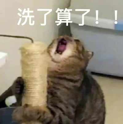 一只橘白相间的猫仰头张大嘴巴，露出粉红色的舌头和牙齿，表情抓狂地怒吼着。它前爪抱着一卷白色的纸筒（看起来像是卫生纸或厨房用纸），背景是室内环境的墙壁和家具。图片上方有醒目的白色文字“洗了算了!!”，整体营造出一种搞笑又无奈的氛围，仿佛猫咪在面对一团糟的状况时发出崩溃的呐喊。