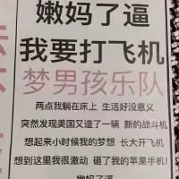 这是一张竖版纯文字搞笑梗图，以粗俗又夸张的语气展开叙事：开头喊出“我要打飞机”，先铺垫自己深夜躺在床上觉得生活毫无意义，随后看到美国新造战斗机，勾起小时候“长大开飞机”的梦想，情绪瞬间激动，最后突然话锋一转吐槽苹果手机，形成荒诞的反转笑点。
其中“打飞机”存在双关含义，初期容易让人产生低俗联想，实际指向驾驶飞机的童年梦想，这种误解与后续内容的反差，加上最后突兀的吐槽，进一步增强了荒诞搞笑的效果。