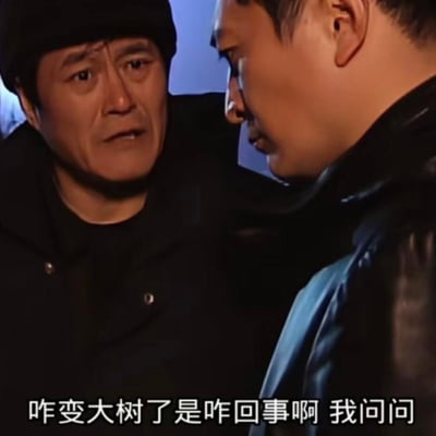 图片展示了电视剧《刘老根》中的经典场景，赵本山饰演的角色与范伟饰演的角色正进行近距离严肃对话。赵本山表情惊讶疑惑，身体微微前倾，似乎在急切询问；范伟表情严肃认真，专注地看着对方。画面下方配有字幕："咋变大树了是咋回事啊 我问问"，显示出角色间正在讨论令人困惑的情况。