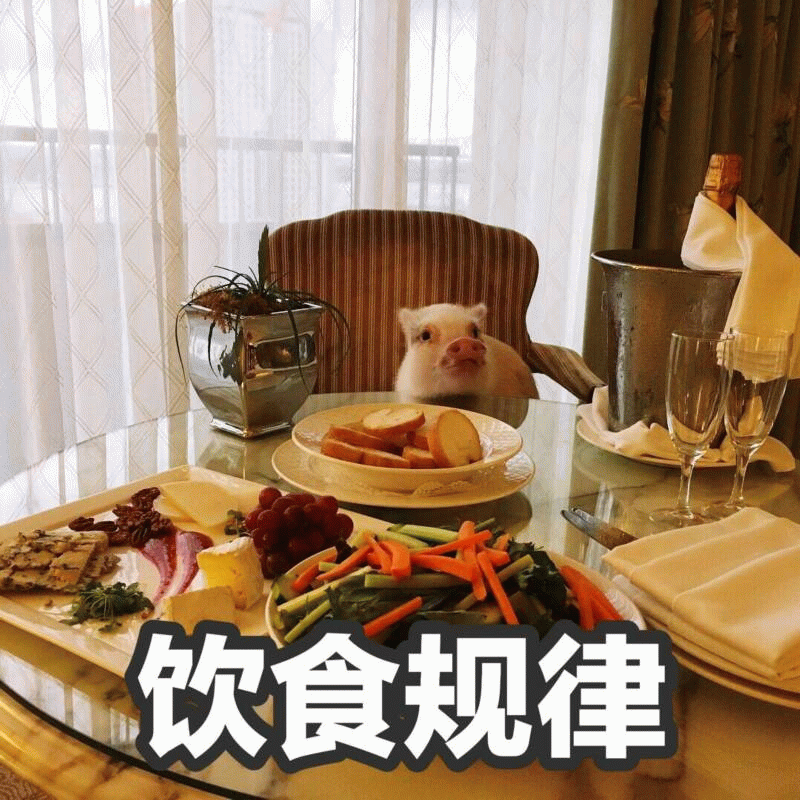 小猪的精致饮食规律