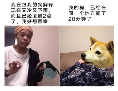 这是一张左右对比的多图拼接梗图，左侧是一位牵着可伸缩狗绳的人，面露无奈崩溃的神情，双手做出解释的手势，配文传递出主人在凌晨2点又冷又下雨的天气里急切想要回家的心情；右侧是一只吐着舌头、神态悠闲的柴犬，配文点明狗狗已经在同一个地方闻了20分钟，完全不顾主人的急切。整张图通过主人的崩溃与狗狗的淡定形成强烈反差，精准还原了养宠人遛狗时遇到狗狗磨蹭不走的真实日常，充满幽默共鸣感。