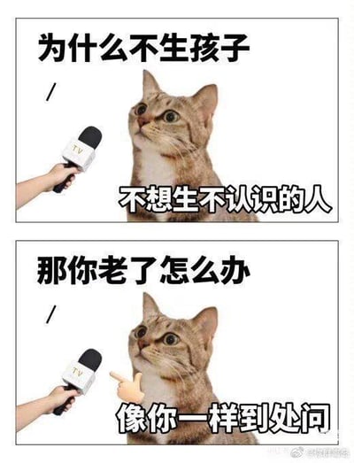 这是一张两格连环图文混排梗图，模拟采访场景。上格中一只虎斑猫被手持标有“TV”字样麦克风的人采访，上方文字为“为什么不生孩子”，猫下方文字回应“不想生不认识的人”；下格中采访者继续提问“那你老了怎么办”，猫用手指向采访者回应“像你一样到处问”。图片通过将猫咪拟人化，以幽默讽刺的方式回应了社会中常见的关于生育和养老的催问压力，笑点在于猫咪用提问者的行为反讽其过度关心他人私事的态度。
