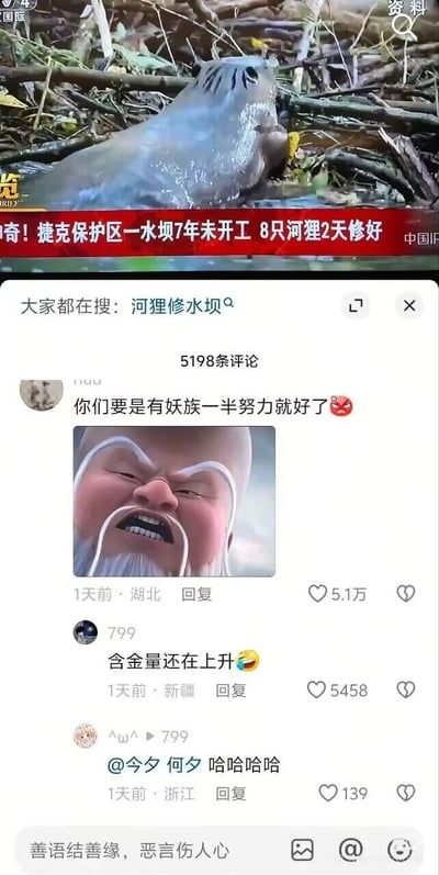 这是一张来自抖音平台的社交媒体截图，画面上半部分是新闻资讯内容，标题为“奇！捷克保护区一水坝7年未开工 8只河狸2天修好”，配图是在水中的河狸；下半部分是评论区，热评使用了国产动画《哪吒之魔童闹海》中申公豹愤怒抓狂的表情包，配文“你们要是有妖族一半努力就好了”，用玩梗的方式调侃人类工程效率和河狸的反差，该评论获得5.1万点赞；下方还有其他网友的回复，如新疆网友评论“含金量还在上升”，浙江网友@他人发出笑声，整体内容结合了社会新闻与热门动画梗，充满趣味性，引发网友共鸣。