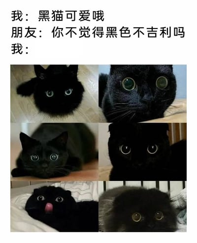 这是一则图文结合的趣味内容，上方设置了三段对话：首先“我”表达了对黑猫的喜爱，朋友则提出“黑色不吉利”的质疑，随后“我”用六张不同的黑猫照片作为回应。这些黑猫都有着圆溜溜的大眼睛，神态软萌无辜，姿态各异，有的趴在地面露出脑袋，有的躲在暗处露出脸庞，还有的躺在床上吐着舌头，用满满的可爱感打破“黑猫不吉利”的刻板印象，传递出黑猫的治愈与可爱，让人被萌宠的魅力打动，忽略所谓的迷信说法。