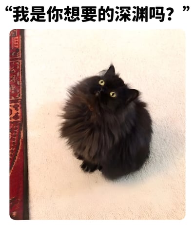 一张黑猫咪咪的照片，它有着蓬松的黑色毛发和明亮的黄色眼睛，正仰头向上看。图片上方配有文字'我是你想要的深渊吗？'，营造出一种幽默又略带神秘的氛围。猫咪坐在浅色的表面上，左侧有一本红色封面的书。