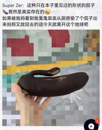 这是一张社交媒体分享截图，用户Super Zer展示了一个造型极为特殊的真实茄子：茄子主体为常规长条形，上方却长出一个弯曲的凸起，和网络上常见的茄子emoji造型高度吻合。用户配文表达了对这个茄子形状的惊讶，称其是只在“本子里”（即表情包/emoji）见过的形状，同时调侃自己偷偷从厨房拿出茄子拍照，害怕被妈妈发现的社死心情。图片背景做了马赛克模糊处理，一只手握着这个奇特的茄子，将其形状清晰展示出来，整体氛围轻松搞笑，充满日常趣味。