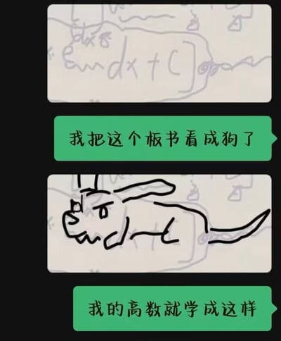 图片由上下两部分截图和中间的文字气泡组成。上方截图是模糊的手写数学板书，隐约可见积分符号、“dx”和“+C”等微积分相关符号；中间绿色文字气泡写着“我把这个板书看成狗了”；下方截图是一幅简单的黑色线条涂鸦狗，有着突出的耳朵、圆眼睛和弯曲的尾巴；最下方绿色文字气泡写着“我的高数就学成这样”。通过将杂乱的数学板书联想为狗的形象，幽默地表达了学习高等数学时的困惑与自嘲。