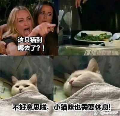 这是一张多图拼接的连环搞笑梗图，分为上下两个部分。上半部分是两位女性，左侧女性张大嘴巴，表情愤怒激动，伸出手指向前方，配文“这只猫到哪去了？！”，呈现出焦急寻找猫咪的情绪；下半部分是两只裹在毯子里的白色猫咪，左边的猫咪露出眼睛平静看向镜头，右边的猫咪闭着眼睛惬意睡觉，配文“不好意思啦，小猫咪也需要休息！”，以拟人化的方式回应了上方的质问，形成强烈的反差感，将猫咪想躲起来休息的可爱心态表现出来，整体风格诙谐有趣，让人忍俊不禁。