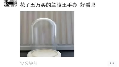 这是一张幽默梗图，上方文字写着'花了五万买的兰陵王手办 好看吗'，下方却是一个空的透明展示盒。图片利用兰陵王以面具和神秘著称的特点制造笑点 - 因为展示盒里空无一物，就像兰陵王总是隐藏自己的面容一样。