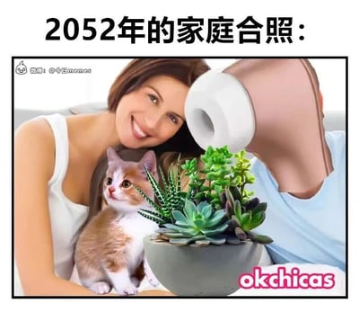 这张梗图以“2052年的家庭合照”为题，幽默描绘了未来家庭的荒诞场景：一位微笑女性侧身依偎着，身旁有一只好奇的橘白猫咪、一盆茂盛的多肉植物，以及一个头部被白色卷纸替换的“家人”。通过夸张的PS手法，将卷纸头与真实人物、动物、植物组合成反差感十足的“家庭合照”，暗讽未来家庭关系可能的异化或生活物品的“拟人化”。